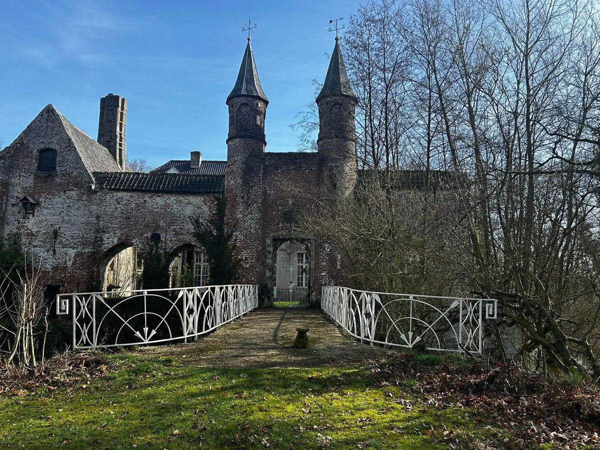 Boris Georgievski tweet media