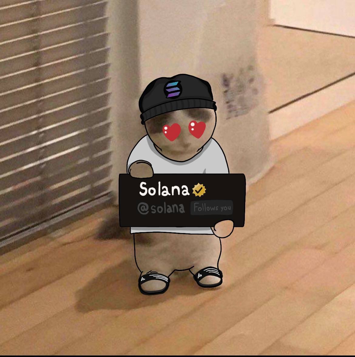 solgeminifinder's tweet photo. @MurphyTravels_ @solana @CryptoCurb https://t.co/8A5CTsF1RC