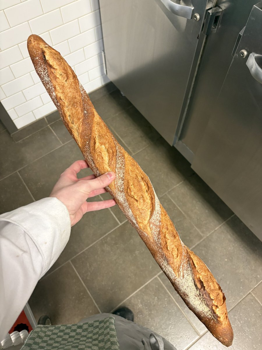 DinosaurFan5 tweet media