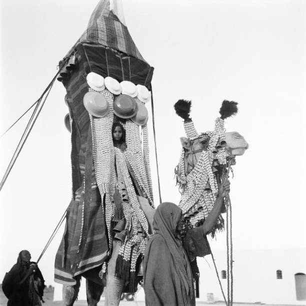 rhaplord's tweet photo. Wedding ceremony among the Tuareg in Niger, 
1950-1953

#ethnographxt https://t.co/QTgzeXjEGg