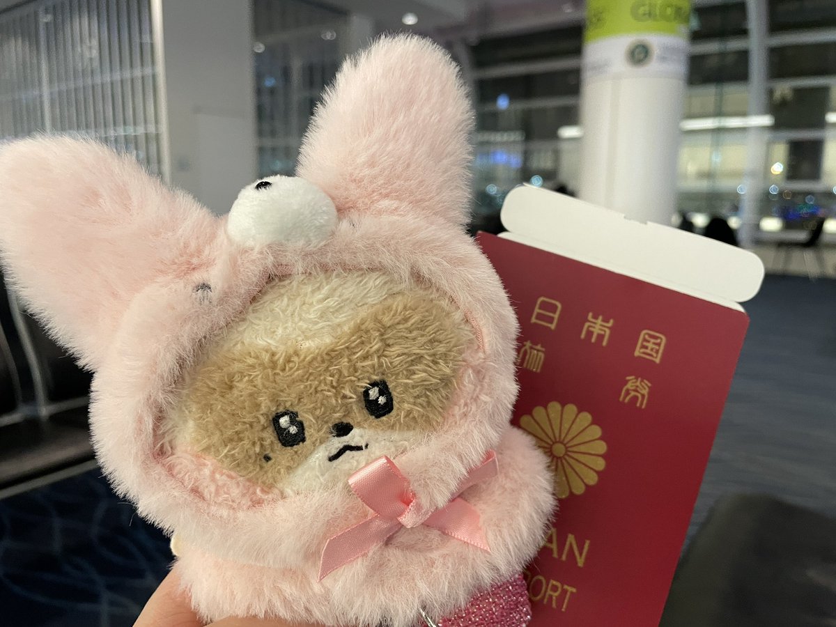 いつものtrampolineee tweet media