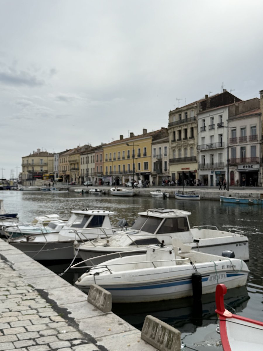 Catherine | Traveling with Sweeney tweet media