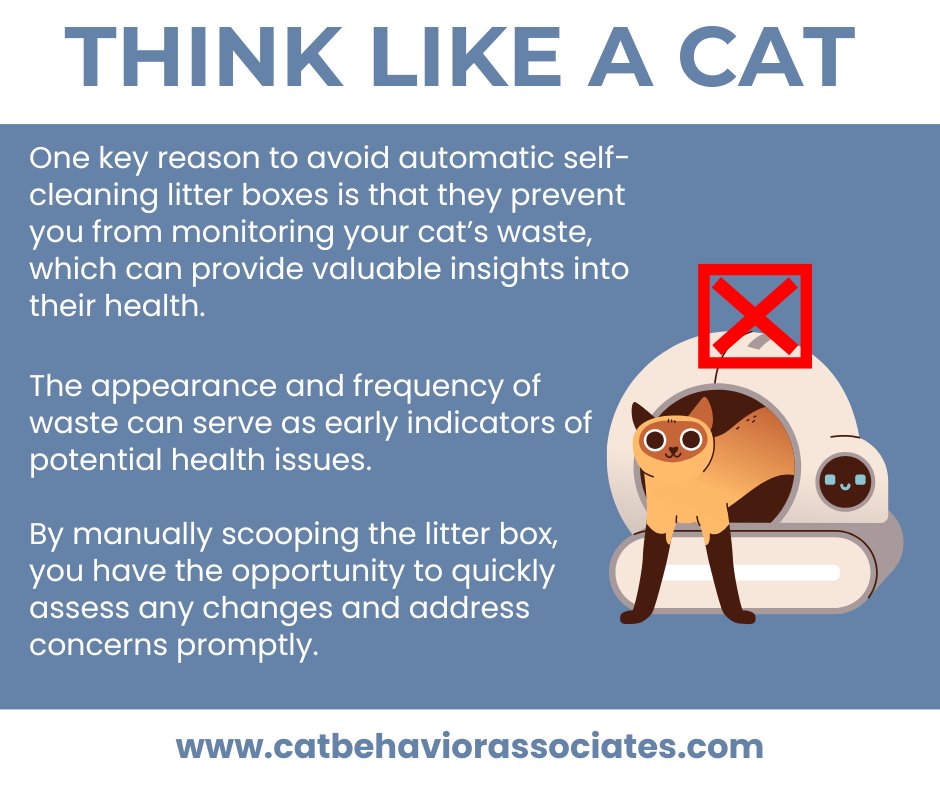 Pam Johnson-Bennett tweet media