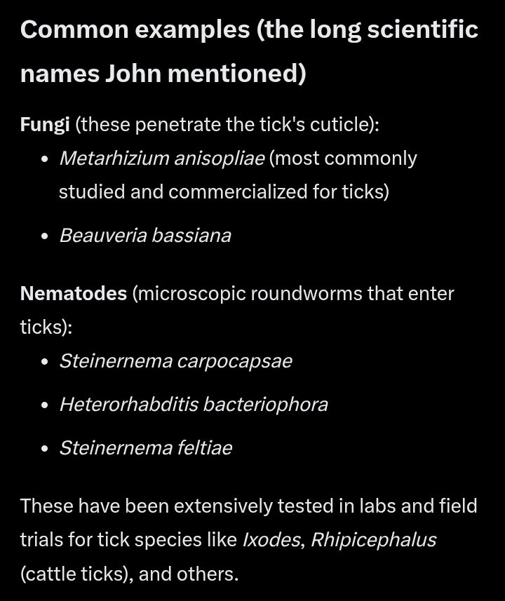 Ridgelinepath tweet media