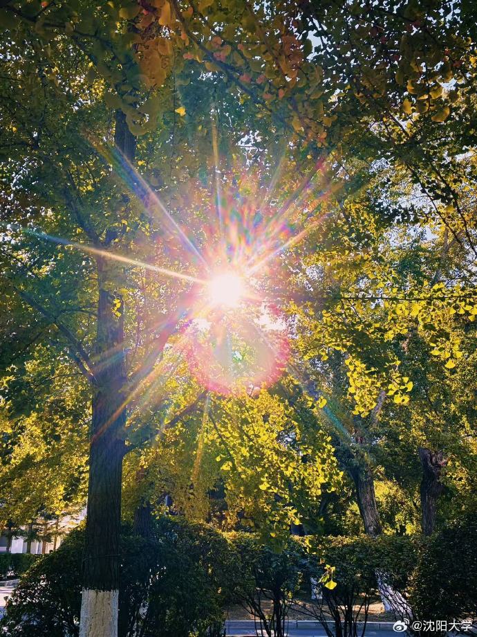 Mark Roussin, CPA 📈💰💵 • Trading Advisor tweet media