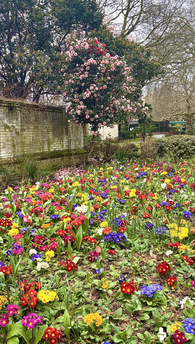 Muriel Gray tweet media