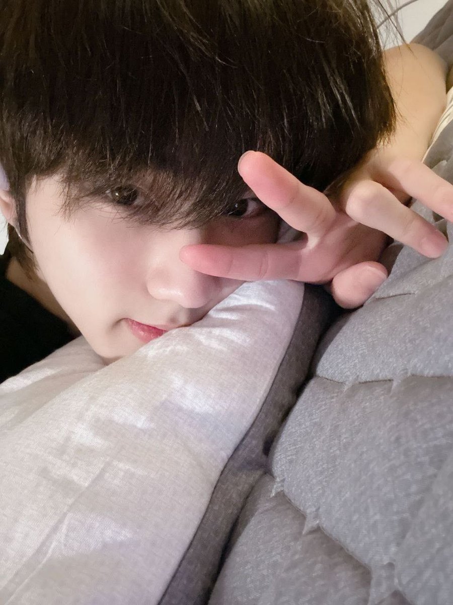 토마도 tweet media