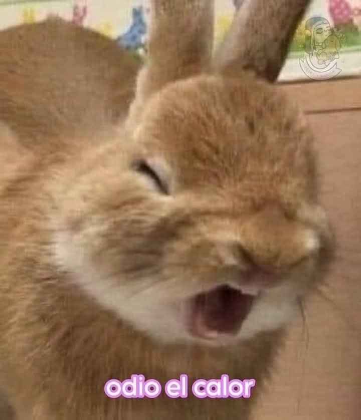 Muuuuy buenos días Poderoso!!  ya estamos redis para verte tocar el domingo con Fobia <a href="/eltalcha/">Cha!</a>
Se extraña al chef <a href="/ruleiro/">R U L O</a>, pero se sabe que puro Chacito es garantía de un increíble programa 
Y ese milagro que airto no está comiendo en cabina?
#PoderosoConSentido
Btw: