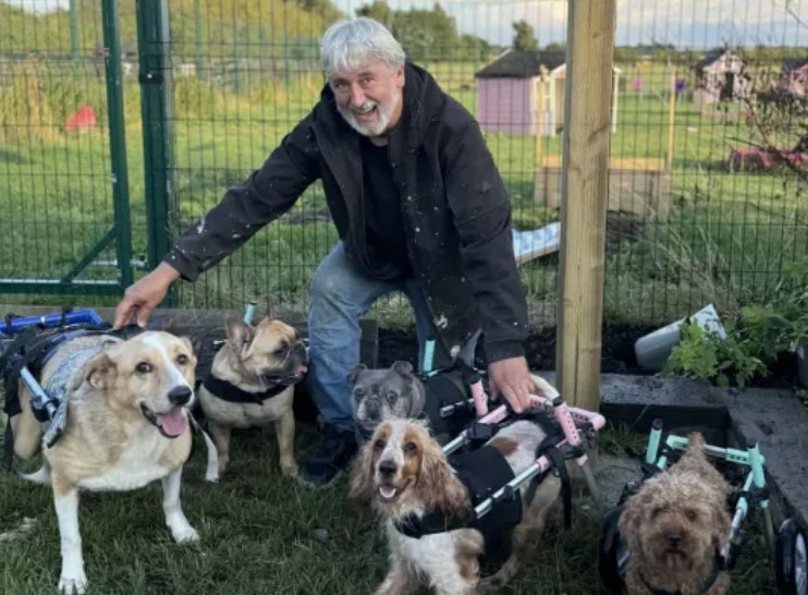 able2uk.com tweet media