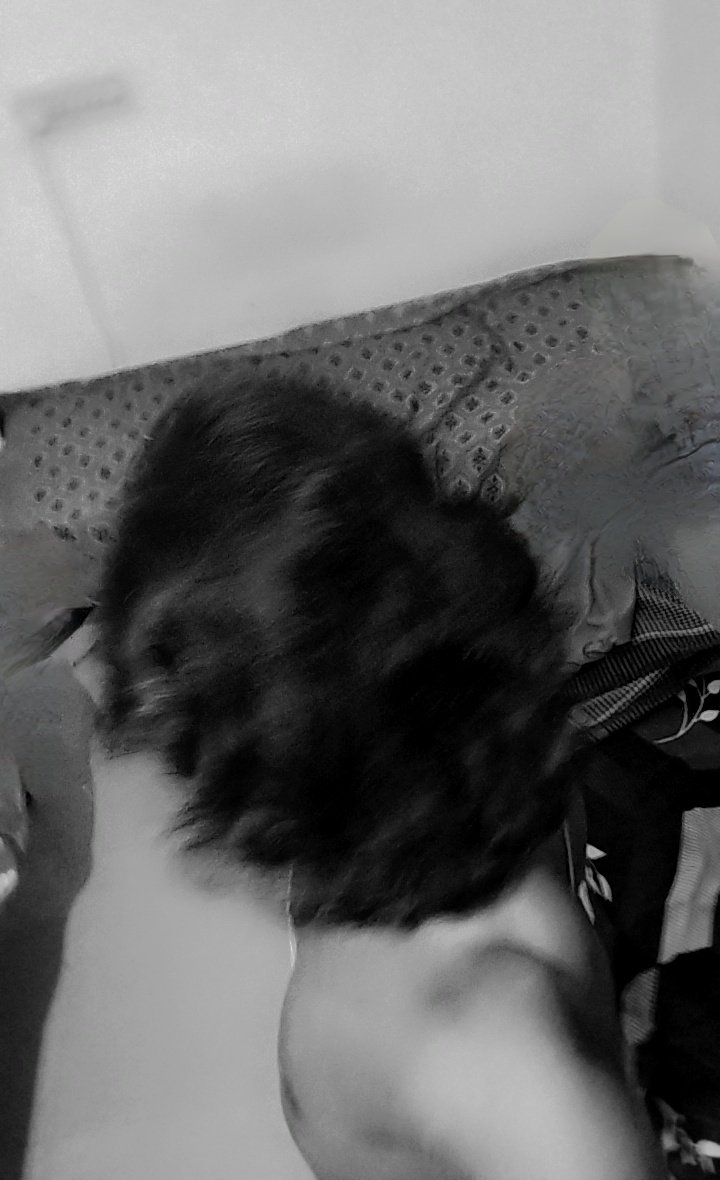 Harry potter tweet media