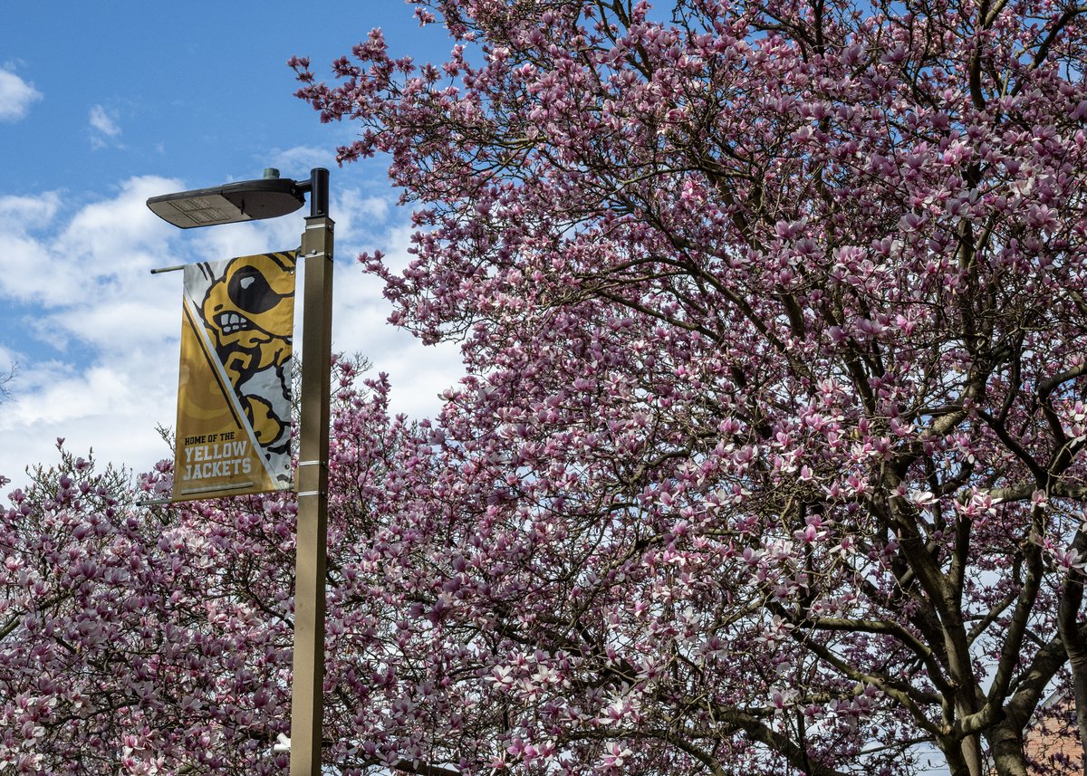 West Virginia State University tweet media