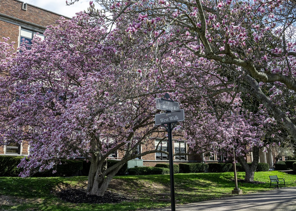 West Virginia State University tweet media