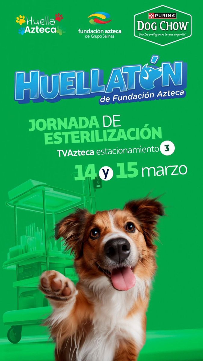 JORGE GARRALDA tweet media