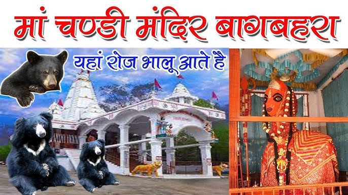 Pushpendra Bambode tweet media
