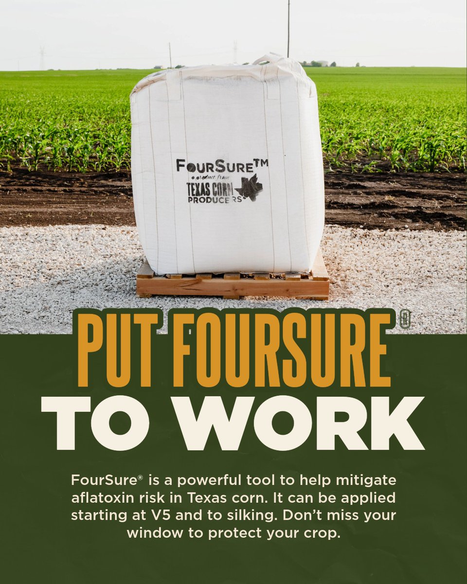 Texas Corn Producers tweet media