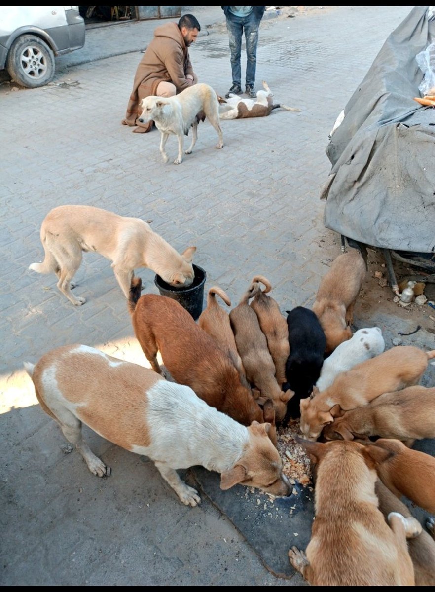 Amo l'articolo 28🕊️🌍🌎🌏Dichiar.univ.DirittiUomo tweet media