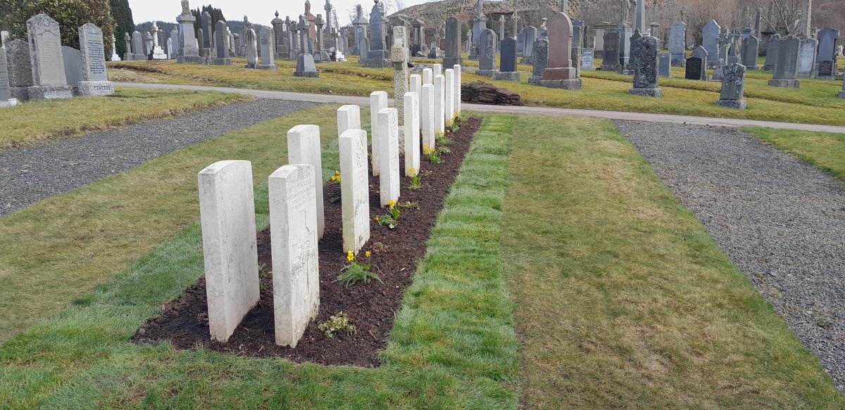 Iain Anderson tweet media