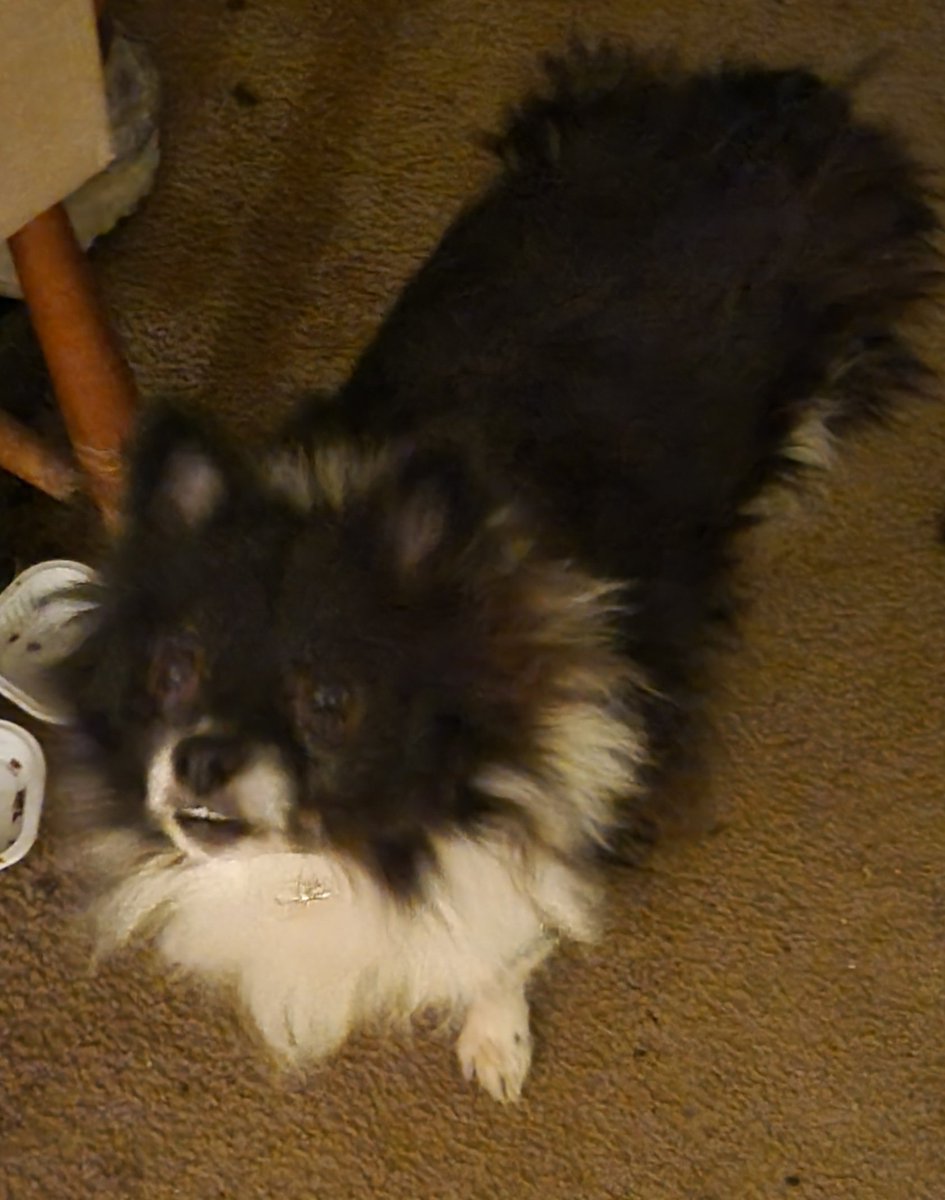 Hestiahime🗝️👑 tweet media