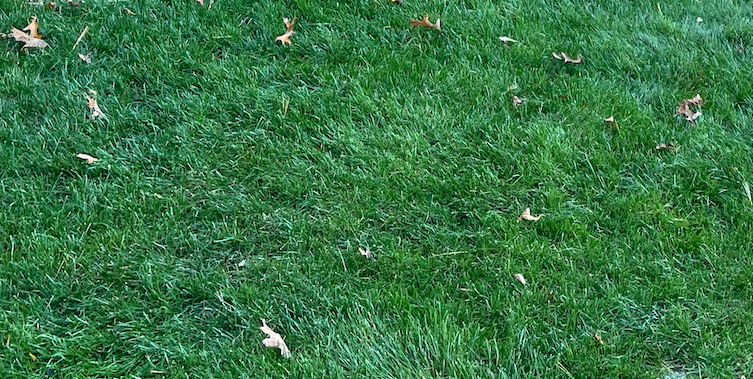 Keli Callaghan 🛡️ tweet media