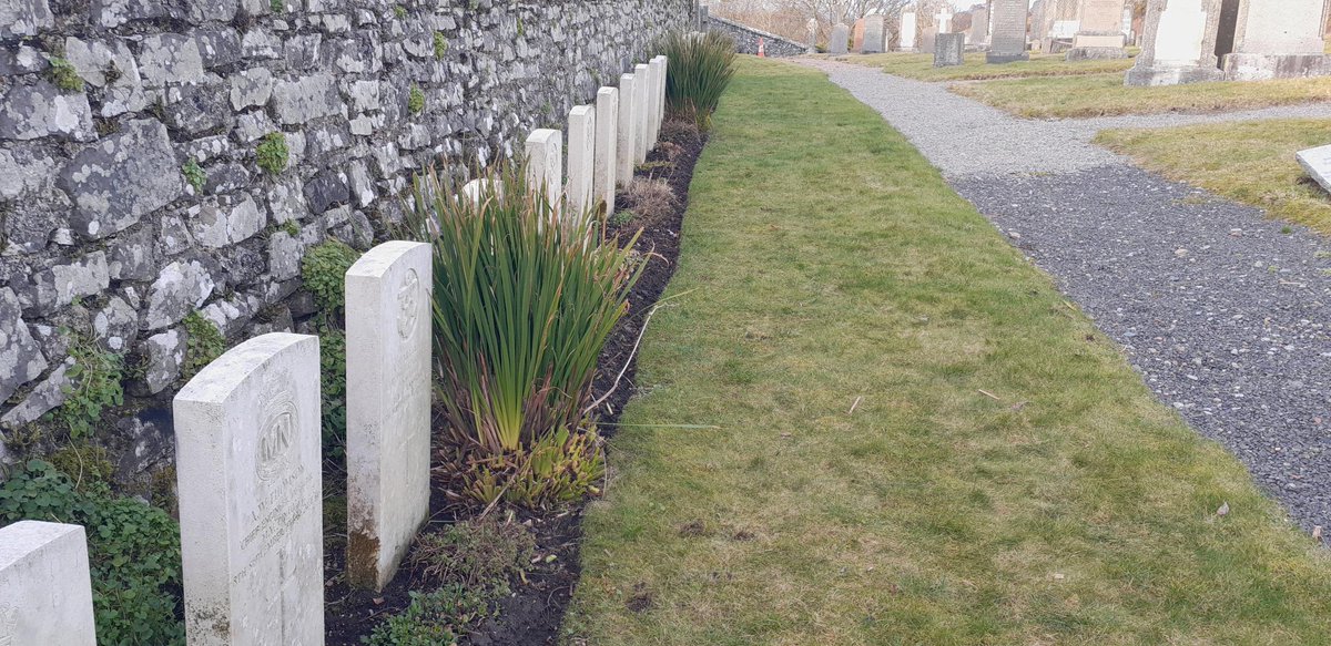 Iain Anderson tweet media