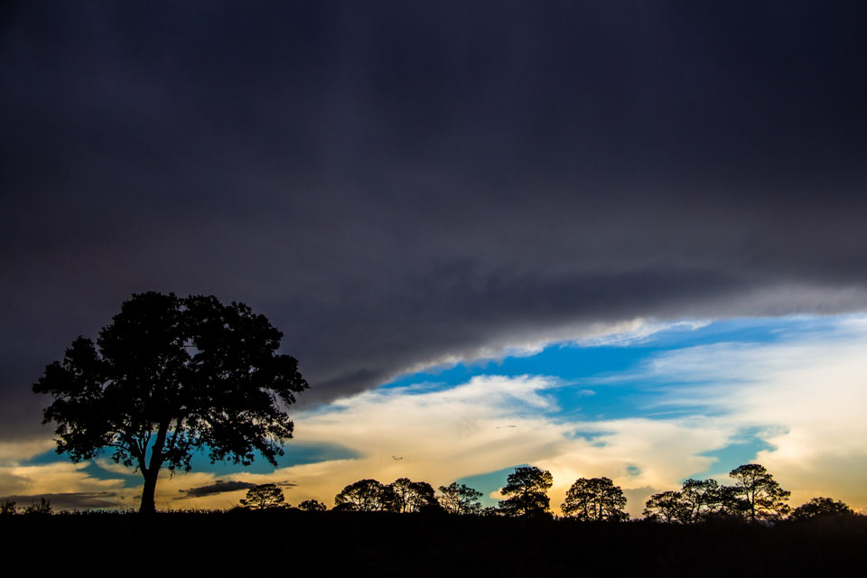 Iram Ortega 👁 tweet media