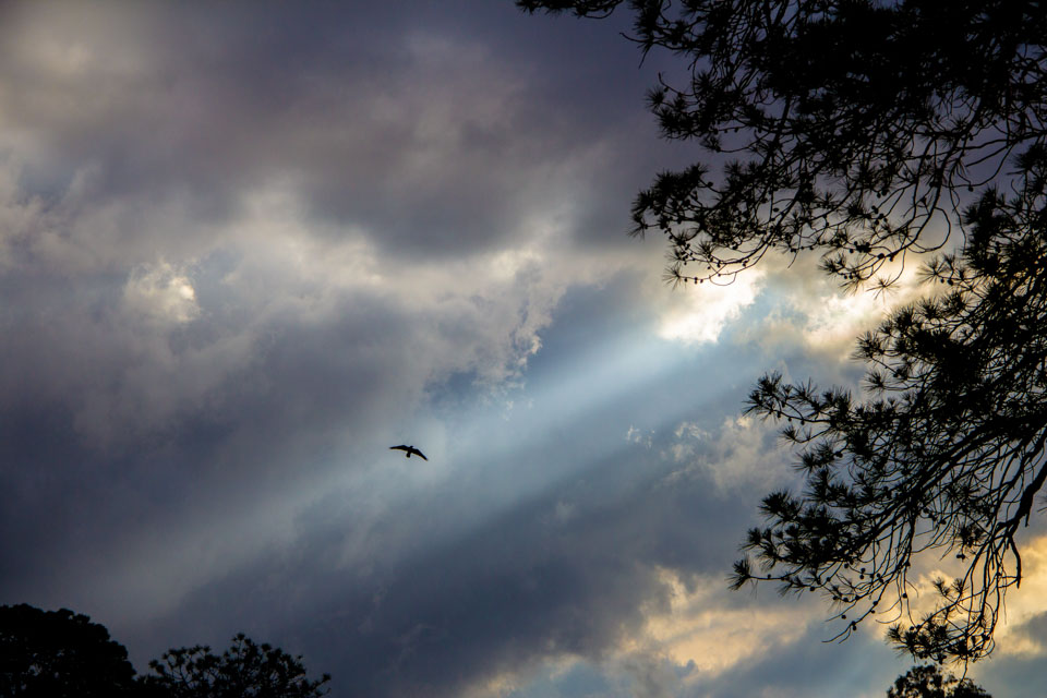 Iram Ortega 👁 tweet media