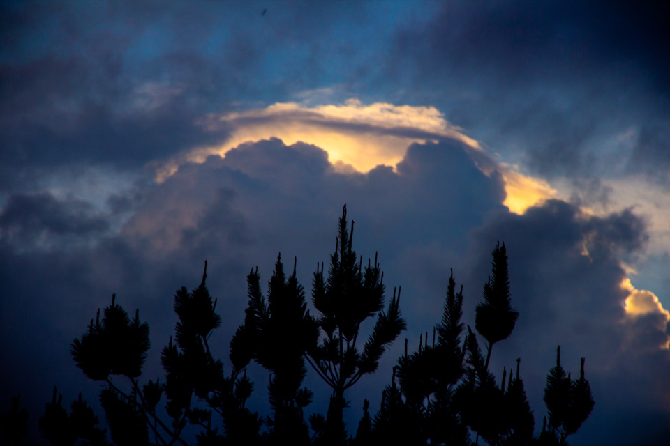 Iram Ortega 👁 tweet media