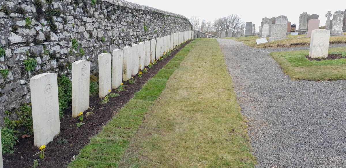 Iain Anderson tweet media