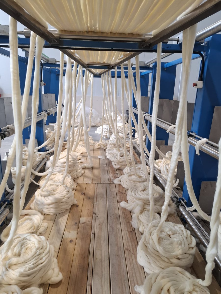 Mal Green tweet media