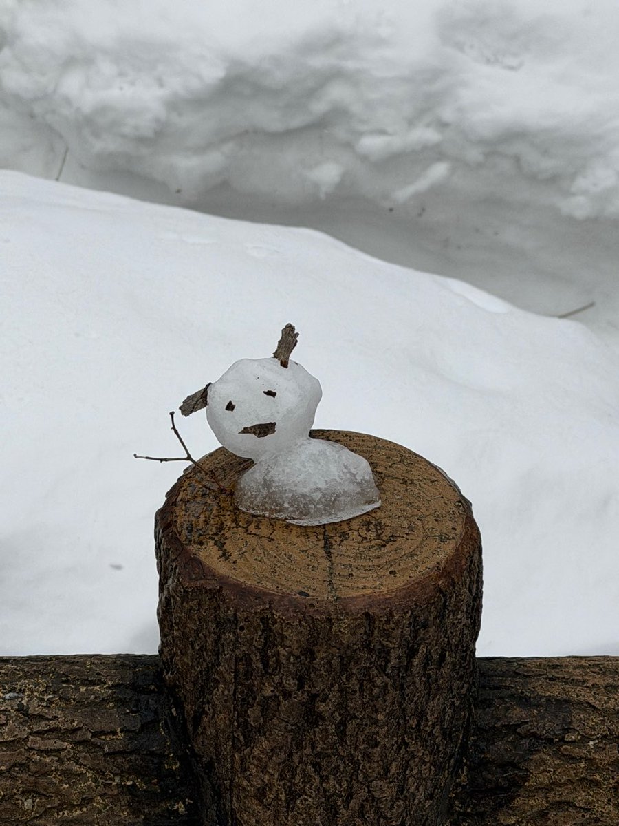 HJ en 🫧
[260313]

🥟: 📸
🥟: Mi pequeño muñeco de nieve que estaba tan lleno de energía / vida
🥟: 📸
🥟: Terminó quedando así de delgado