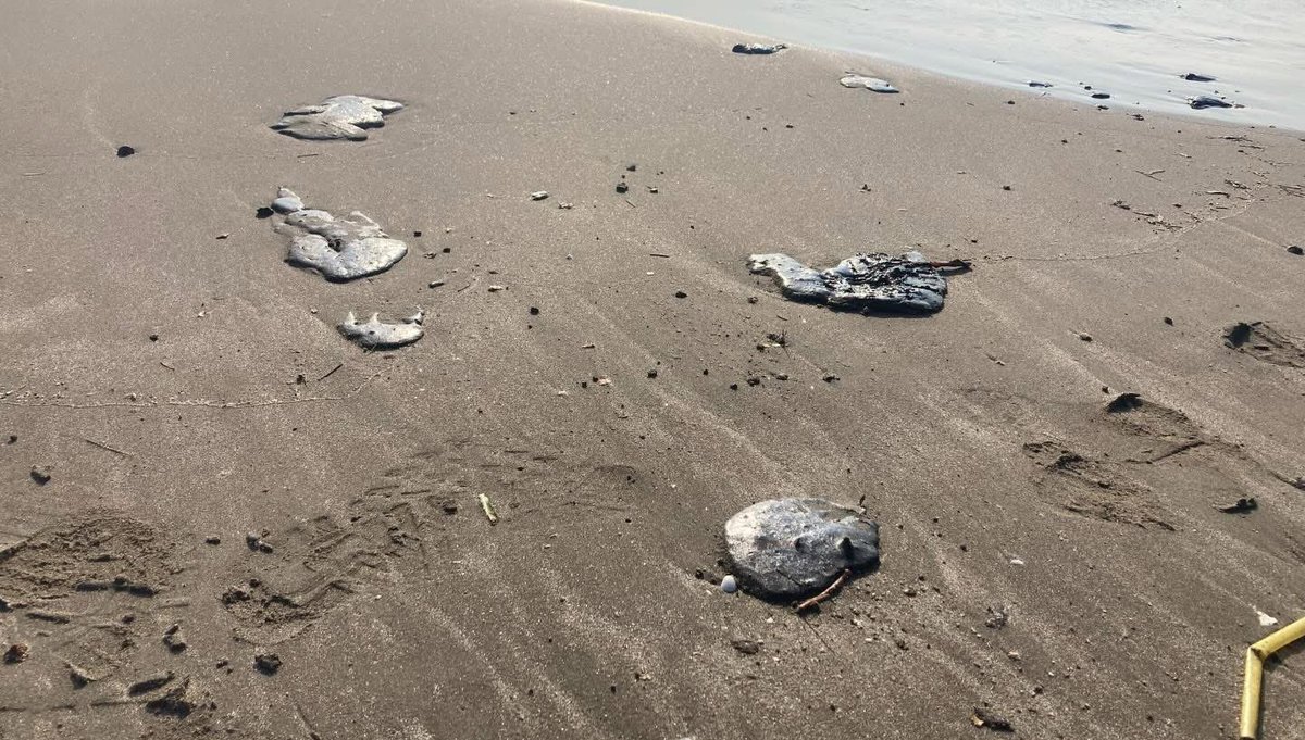 MaTere_Mendoza's tweet photo. Lamentablemente ya llegó el chapopote a las playas de Boca del Río ☹️
Si no es fuga, entonces ¿qué es?
😑

 📷 XEU https://t.co/E9oEKORgVN