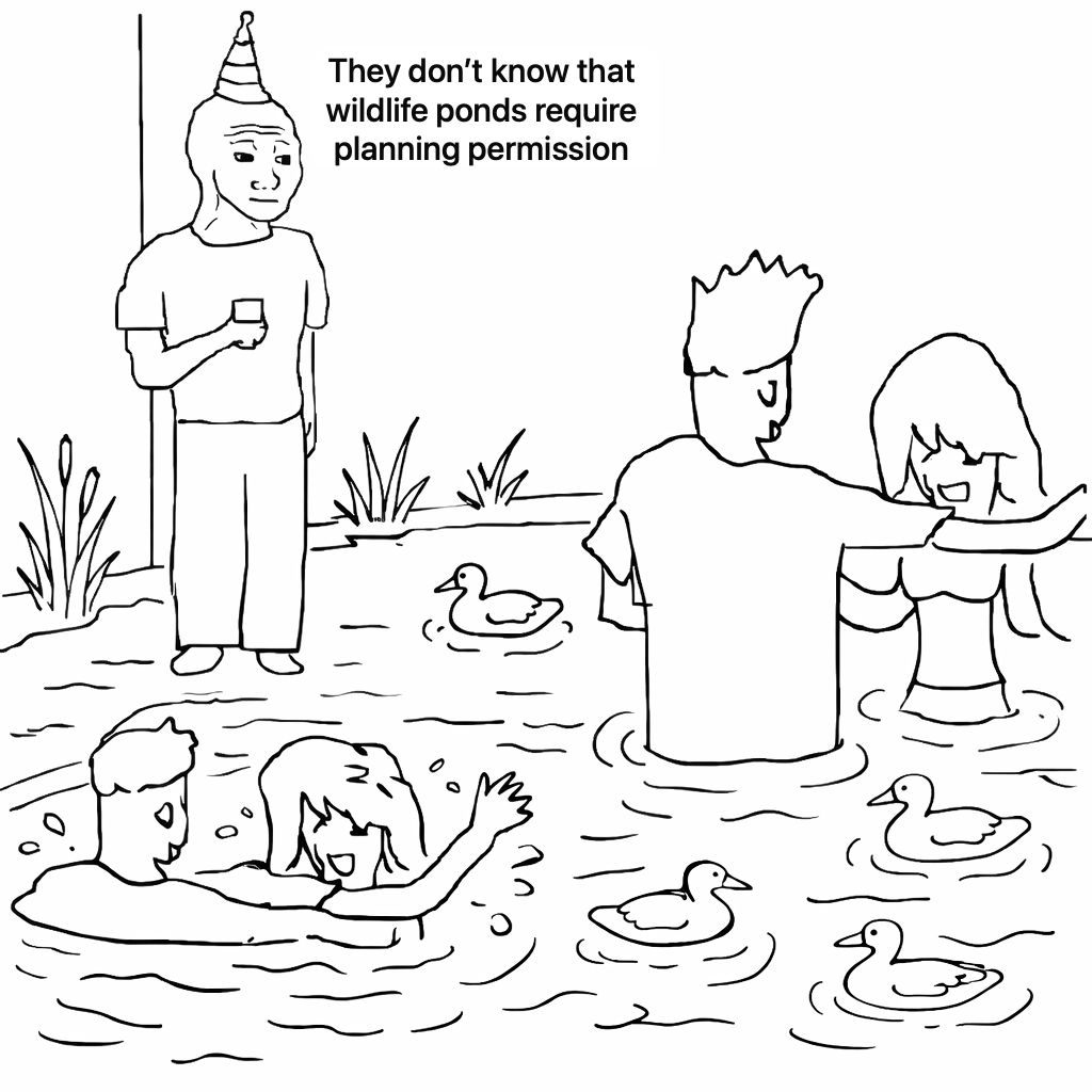 Kitty Thompson🐿 tweet media