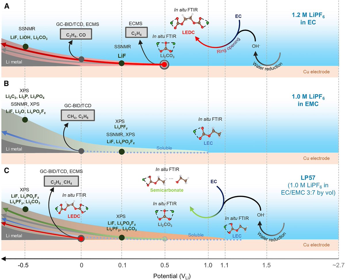 DMSE at MIT tweet media