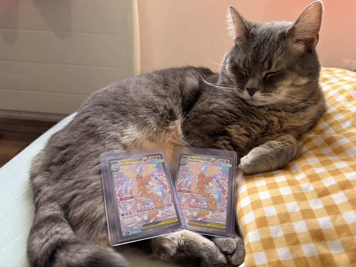 Secondieme tweet media