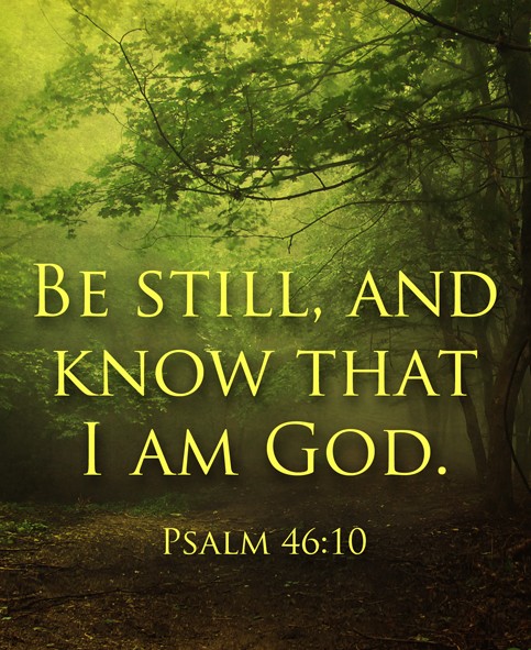 Ryan Salzer tweet media