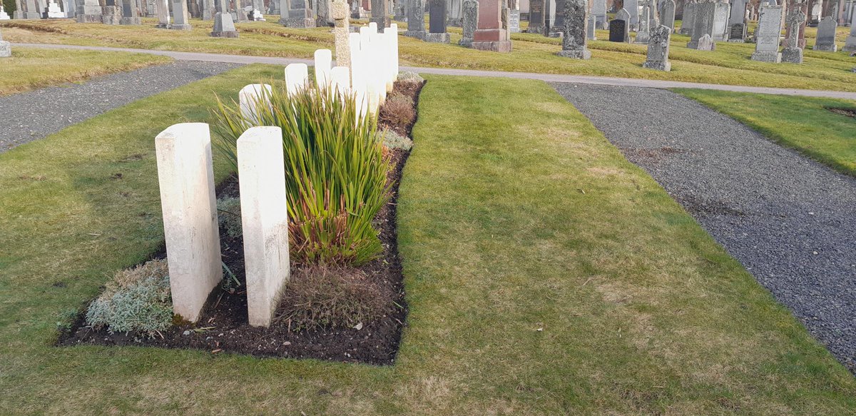 Iain Anderson tweet media