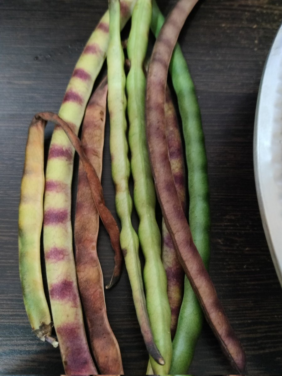 The Stars✨🌌 tweet media