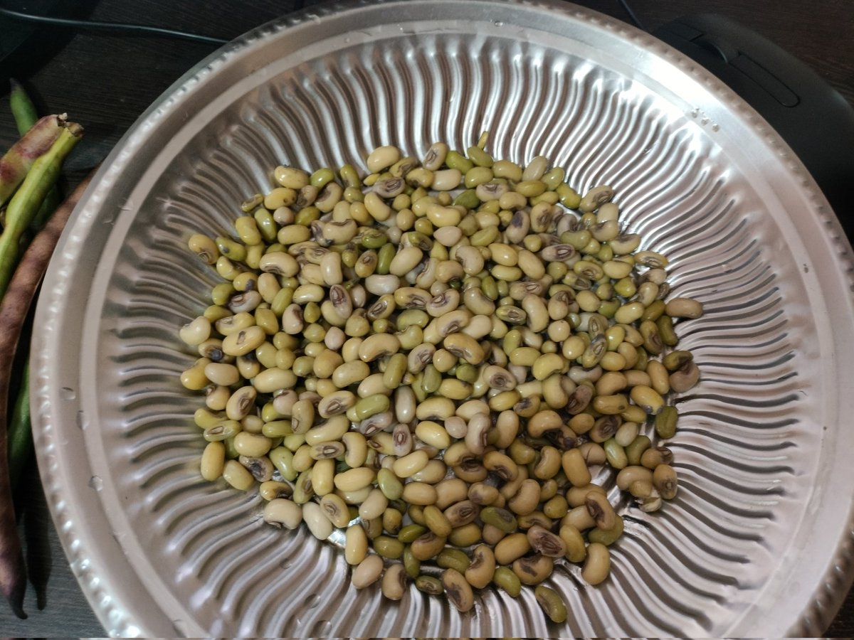 The Stars✨🌌 tweet media