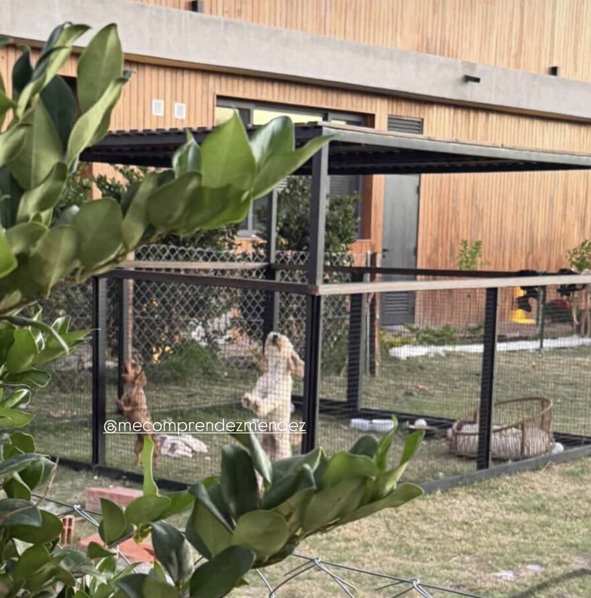 Gustavo Mendez tweet media