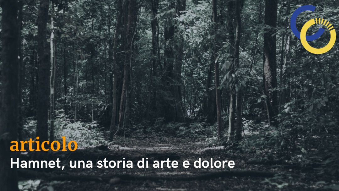 Comunità di Connessioni tweet media