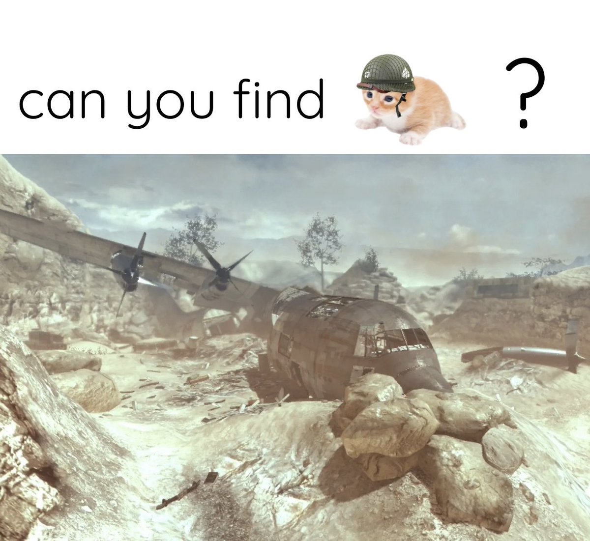 gary (@higary__) on Twitter photo 