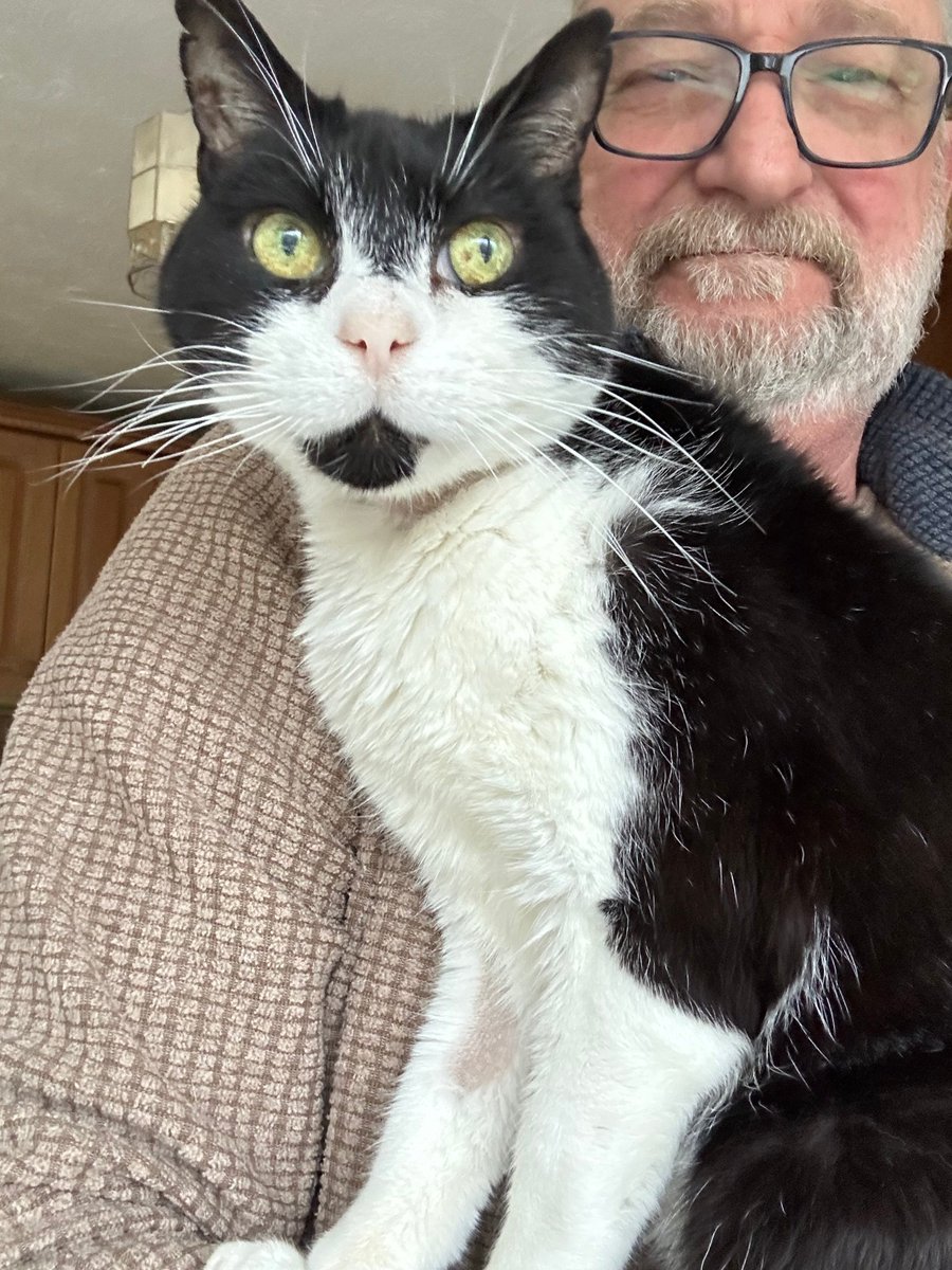 D.V. Catt tweet media