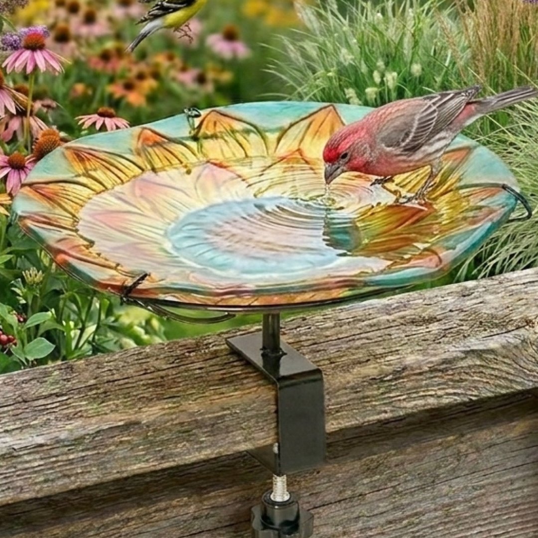 👉 Shop here: ltdc.short.gy/garden-birdbath
Calling all backyard birders 🐦Bring birds closer with this Deck Mounted Bird Bath or Feeder. It attaches right to your deck railing so you can enjoy the show from your favorite chair. #BirdTwitter #BackyardBirding