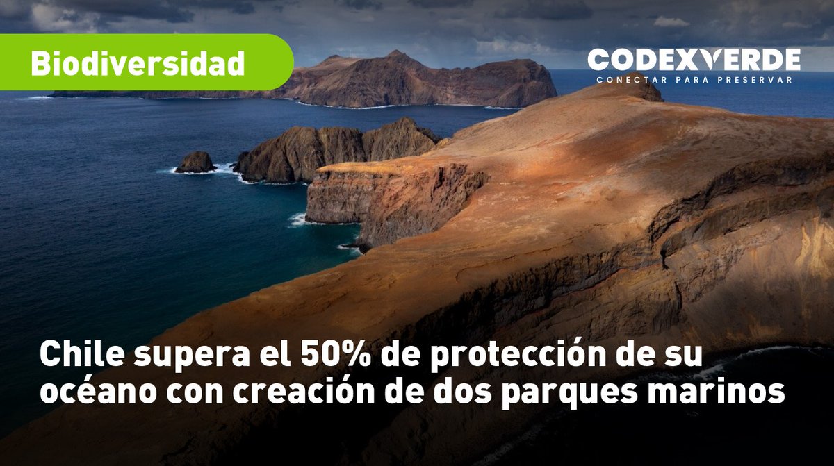 Codexverde tweet media