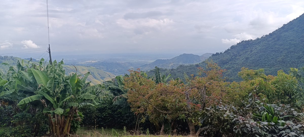 ManuelaNuez17's tweet photo. Devuelvanme a mi escuelita en la montaña pofavooo https://t.co/HRjeMkGncc