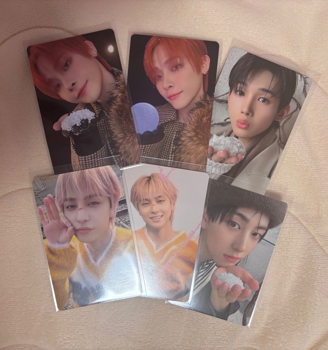 じぇっじぇ🦁 tweet media