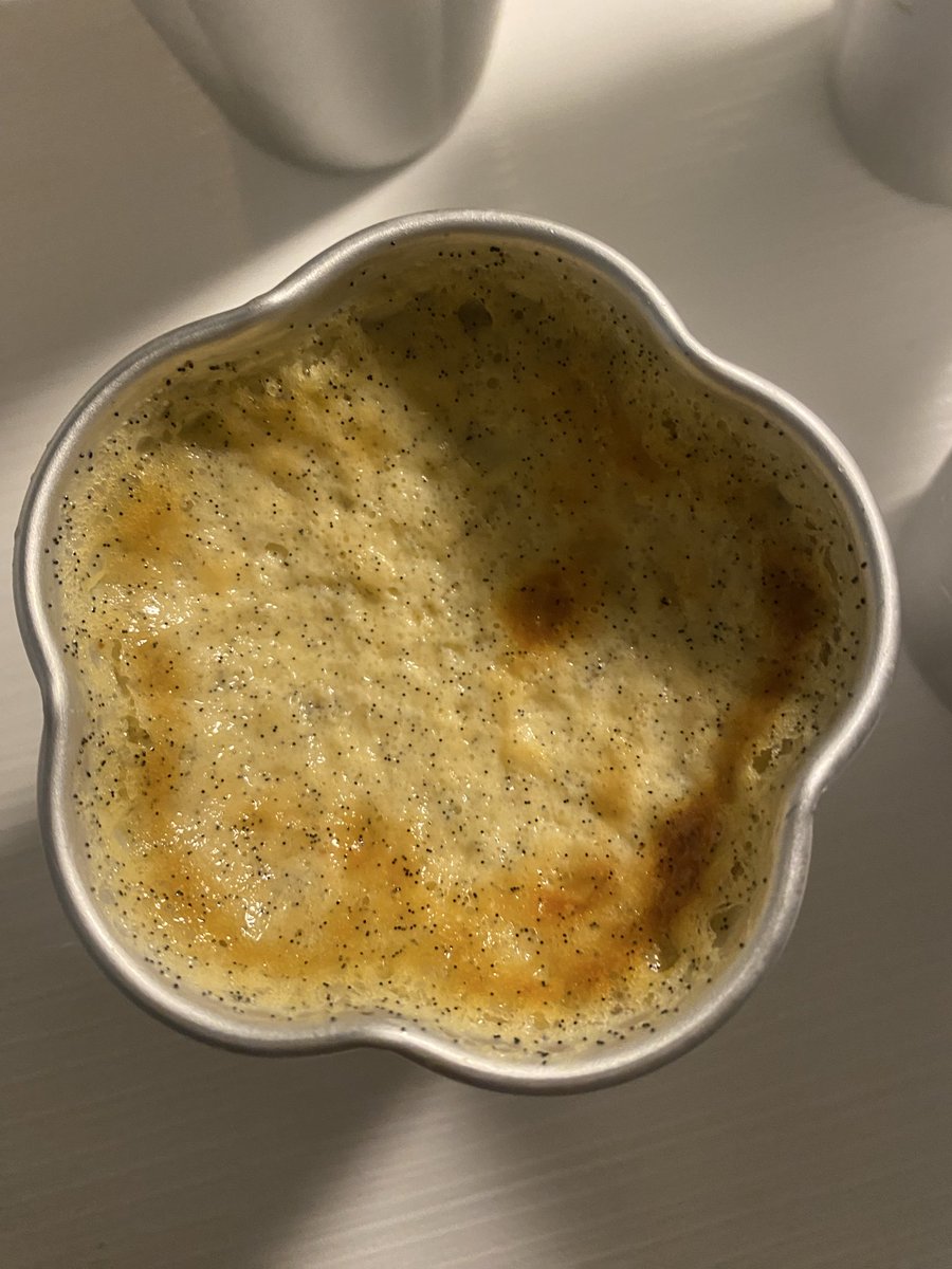 زْينبَ tweet media