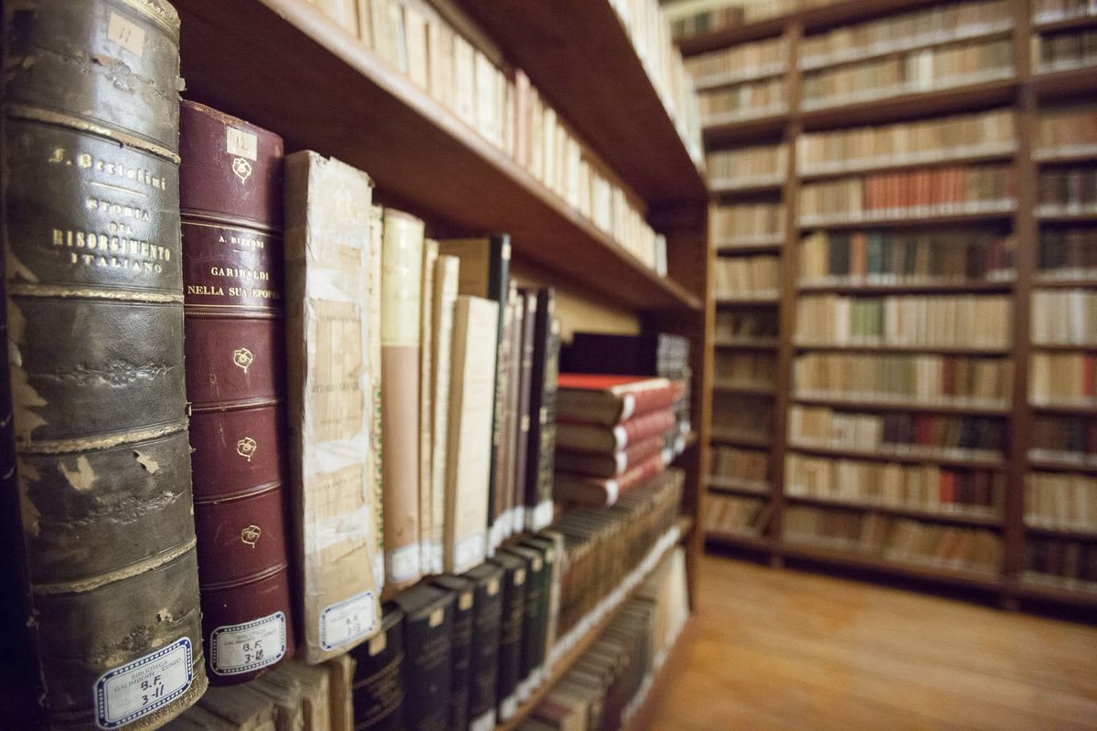 Sophia Proneikos tweet media