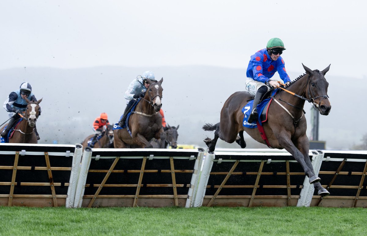 Foran Equine tweet media