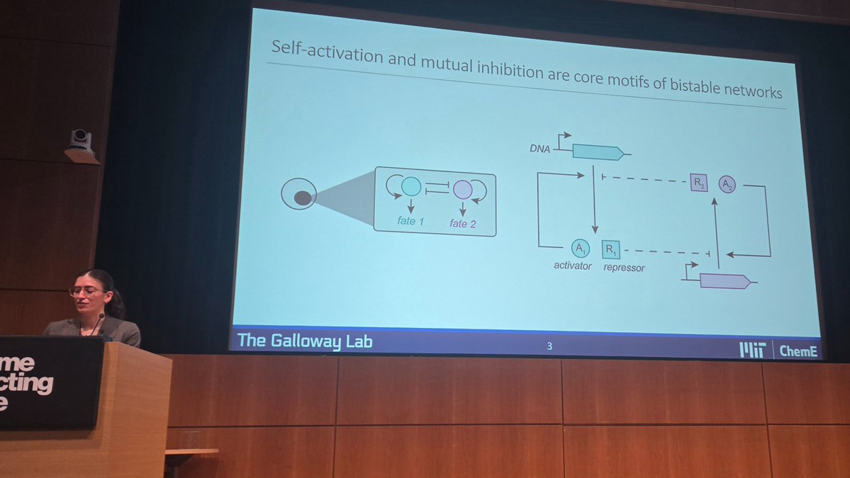 Katie Galloway tweet media